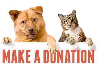 Make a Donation Today!